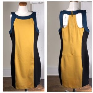 New Adore color block knit dress